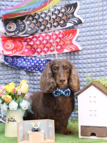 20230523ジョナくん